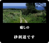 癒しの砂利道