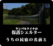 ヤンバルクイナの保護シェルター