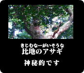 比地のアサギ